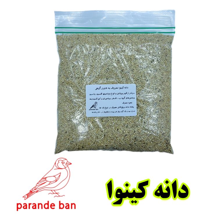 دانه کینوا پرنده بان پرنده