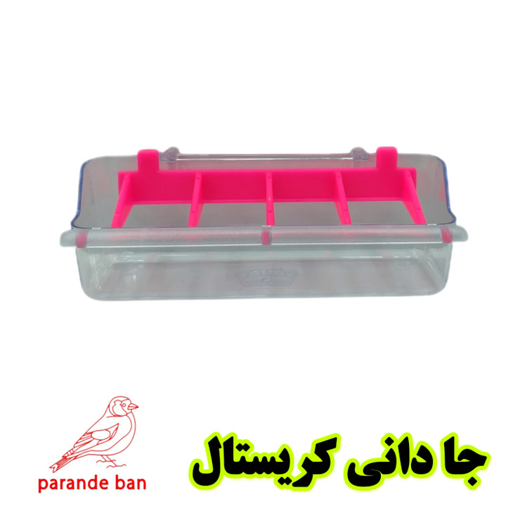 جا دانی