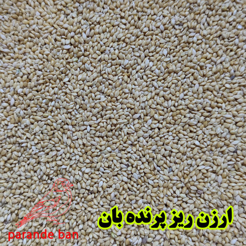 ارزن ریز پرنده بان