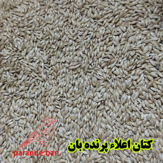 تخم کتان تازه و بوجاریشده اعلا – انتخابی سالم برای تغذیه روزانه پرندگان زینتی