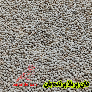 دان پریلا پرنده بان Perilla Seed
