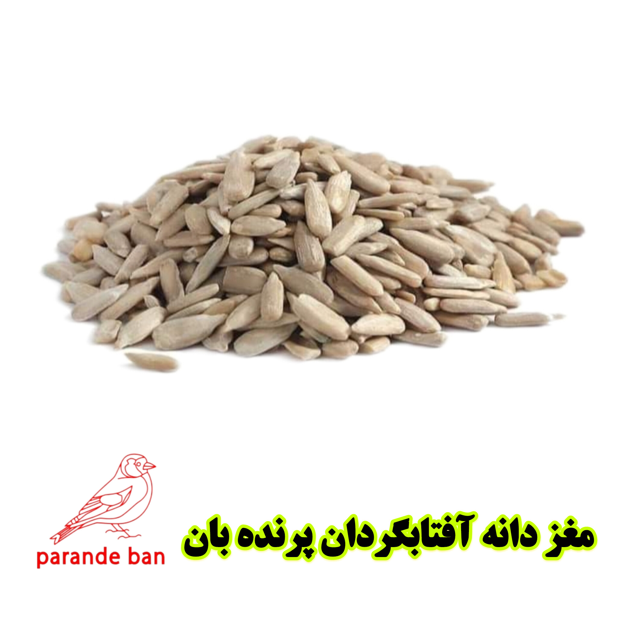 مغز تخم آفتابگردان برای پرندگان زینتی | تقویت‌کننده طبیعی و غنی از ویتامین E