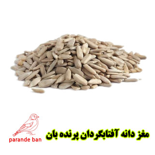 مغز تخم آفتابگردان برای پرندگان زینتی | تقویتکننده طبیعی و غنی از ویتامین E