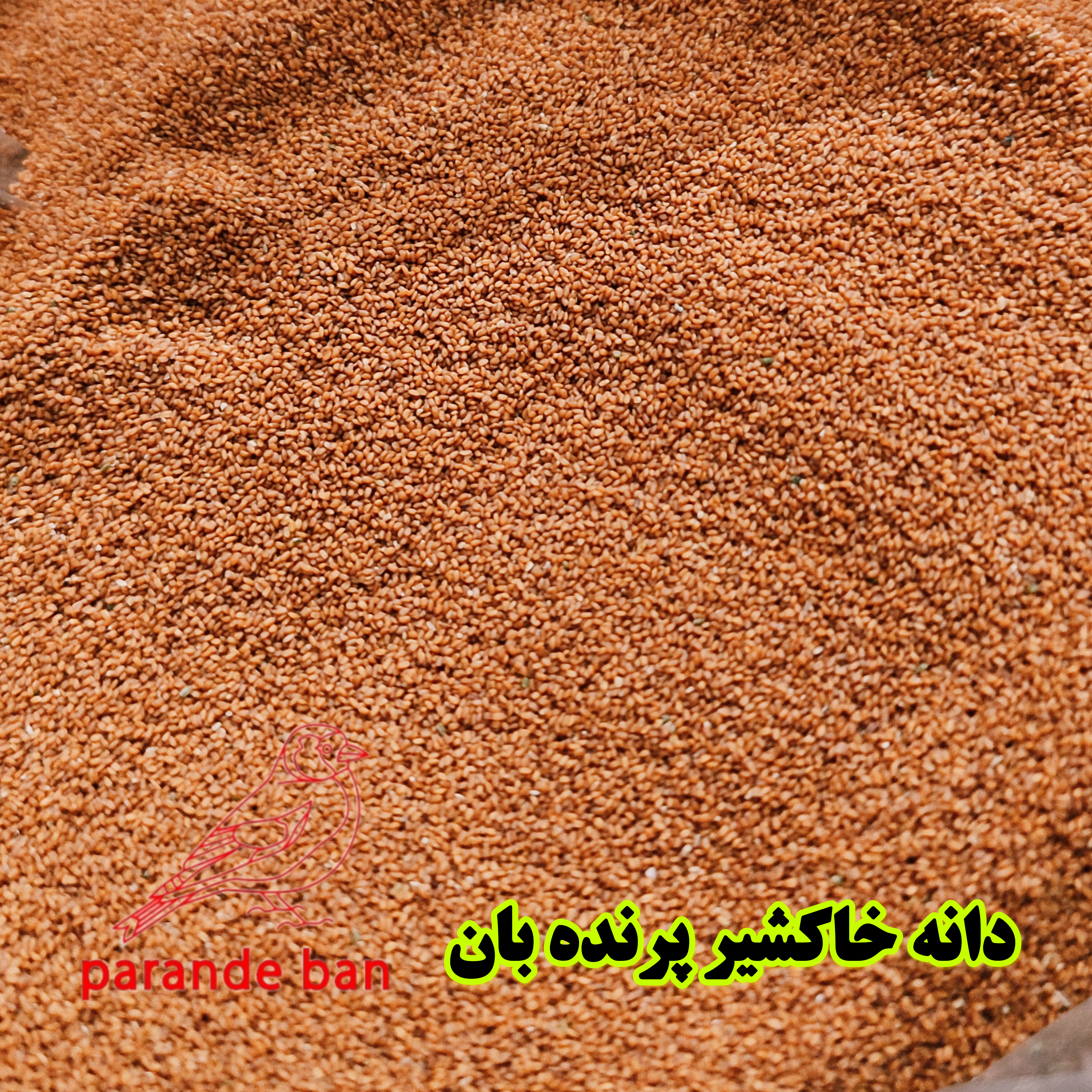 دانه خاکشیر برای پرندگان زینتی | تقویت گوارش و افزایش شادابی پرنده