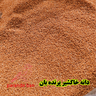 دانه خاکشیر برای پرندگان زینتی | تقویت گوارش و افزایش شادابی پرنده