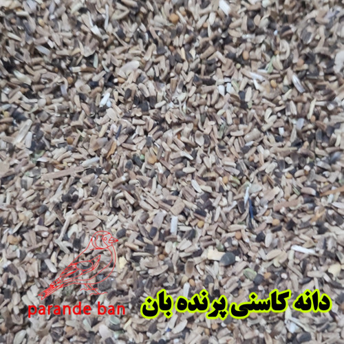 دانه کاسنی پرنده بان