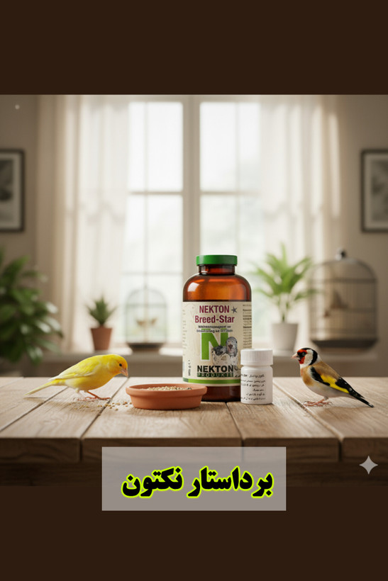 نکتون برد استار | مکمل تقویت جفتگیری و تخمگذاری پرندگان زینتی