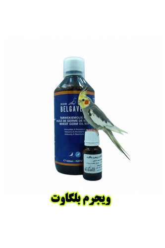 ویجرم بلگاوت | روغن جوانه گندم خالص برای تقویت باروری پرندگان زینتی