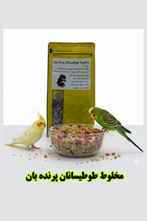 خرید مخلوط دانه طوطی سانان پرندهبان غنیشده | خوراک تقویتی، ضدعفونیشده و سرشار از ویتامین برای طوطیسانان