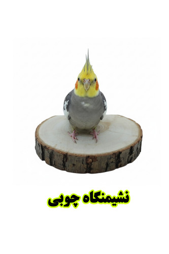 نشیمنگاه کالباسی طوطی سان پرنده بان