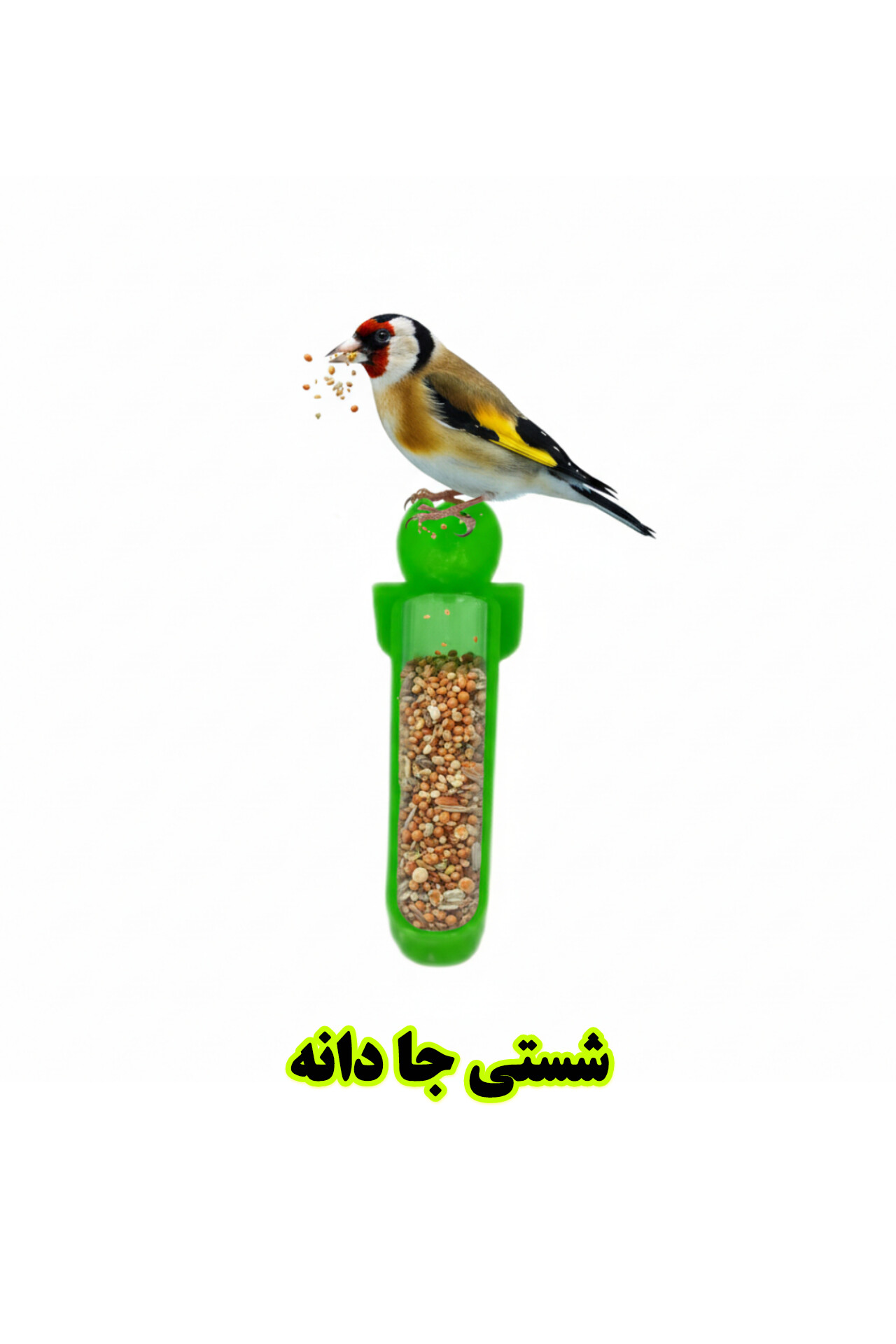 شستی جا دانه پرندگان