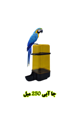 جا آبی 250 میل پرنده