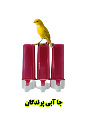 جا ابی درجه دار پرنده بان