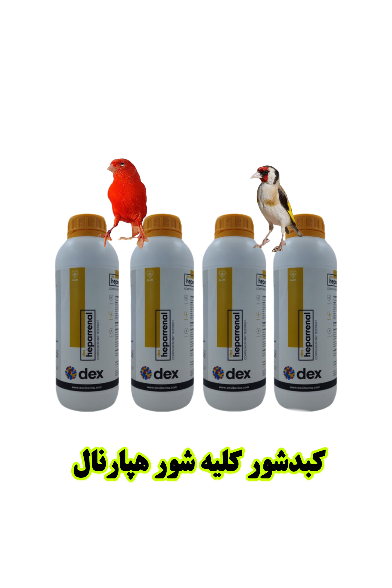 کبدشور کلیه شور هپارنال پرندگان