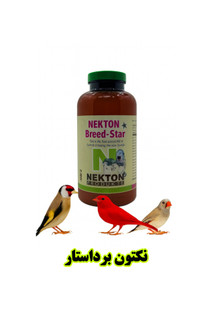نکتون برداستار