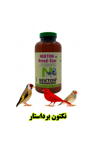 نکتون برداستار