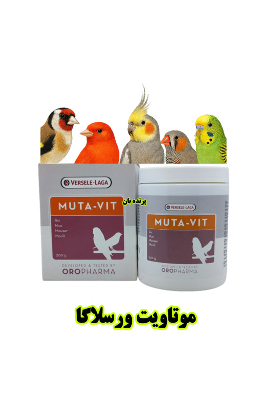 موتاویت پرندگان زینتی پرندهبان