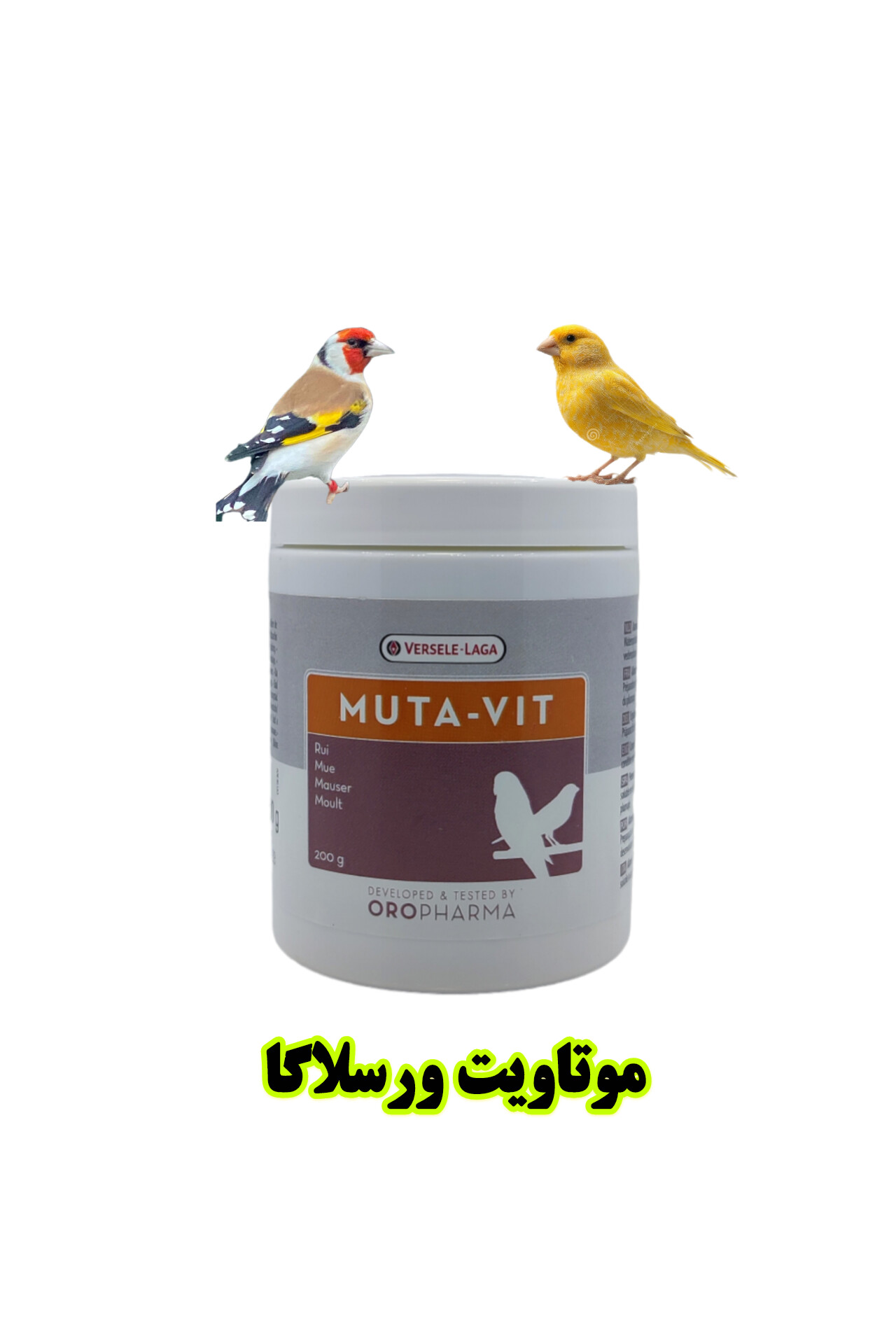 موتاویت ورسلاگا پرنده