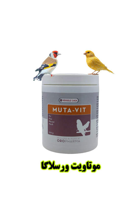 موتاویت ورسلاگا پرنده