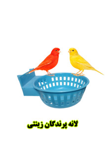 🪺 لانه پرندگان زینتی پرندهبان | محیطی امن و راحت برای تخمگذاری و جوجهآوری