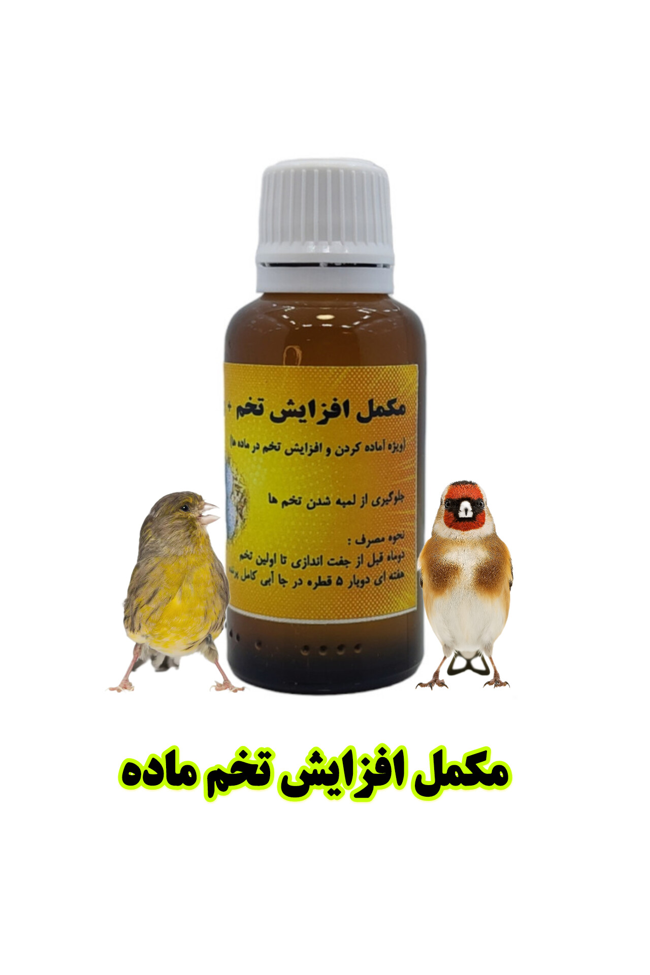 مکمل +Egg | افزایش تخم‌گذاری و تقویت تولیدمثل پرندگان زینتی