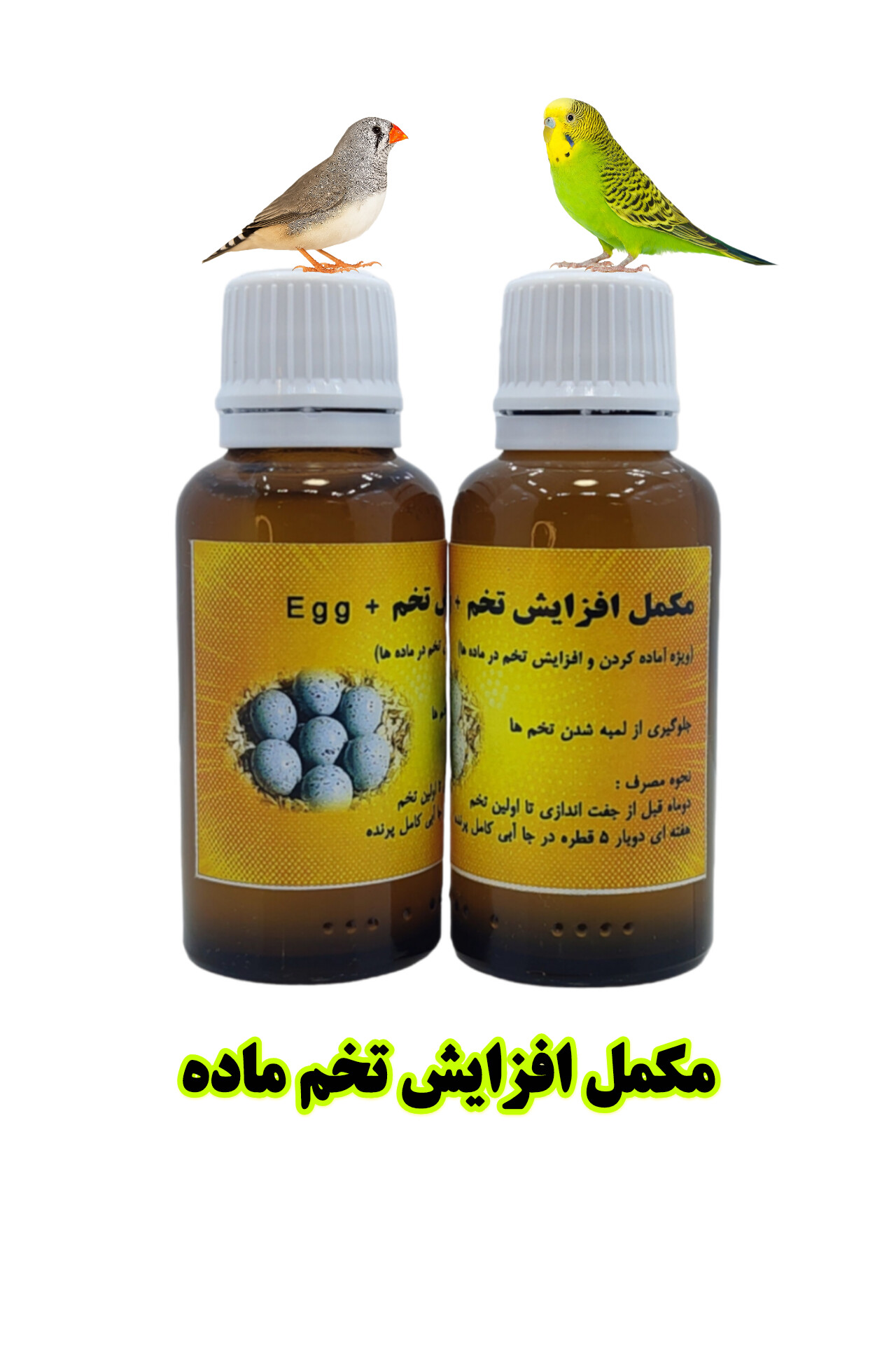 مکمل +Egg | افزایش تخم‌گذاری و تقویت تولیدمثل پرندگان