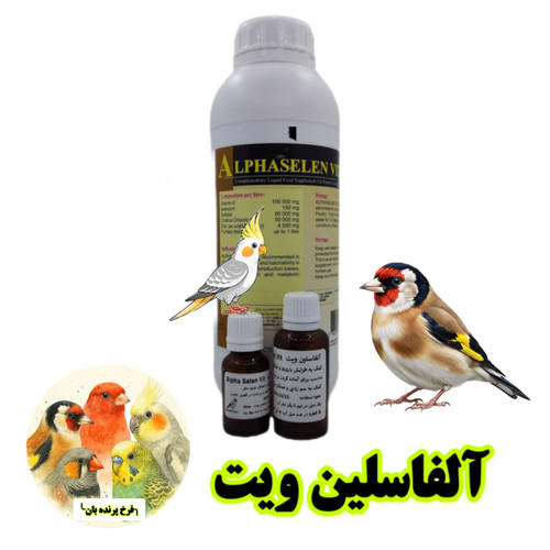 آلفاسلین ویت پرنده بان فرخ