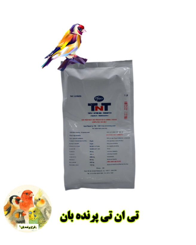 تی ان تی فایزر