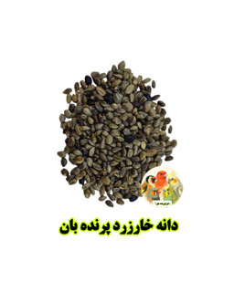 دانه خار زرد پرنده بان تقویت باروری، ضدالتهاب و شادابکننده پرندگان زینتی