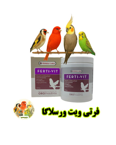 فرتی ویت ورسلاگا