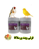 فرتی ویت ورسلاگا