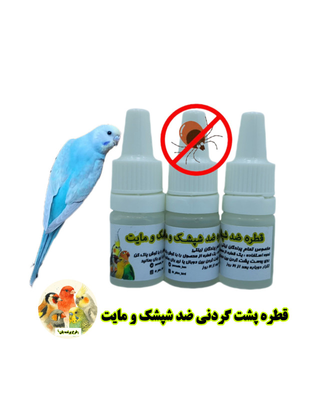 شپشک پرندگان