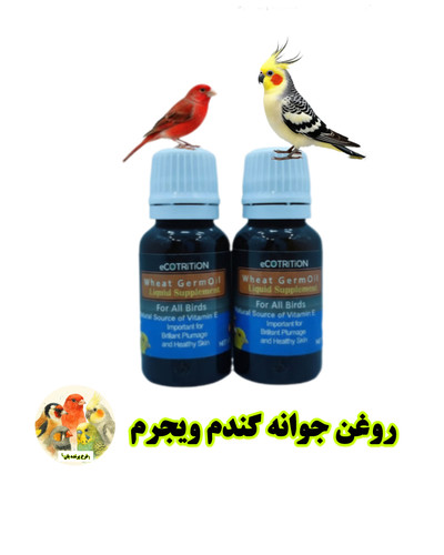 روغن جوانه گندم ویجرم