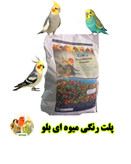 پلت رنگی میوه ای بلو پرنده بان