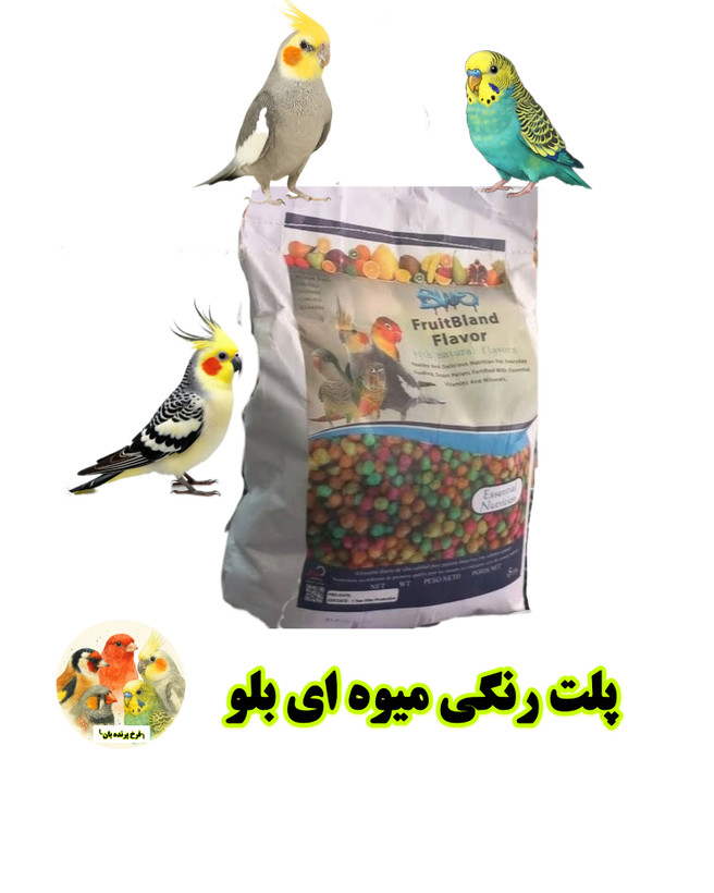 پلت رنگی میوه ای بلو پرنده بان