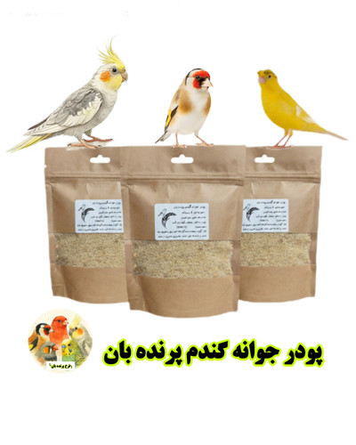 پودر جوانه گندم پرندهبان منبع طبیعی ویتامینها برای پرندگان زینتی