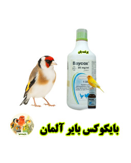 بایکوکس پرنده
