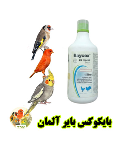 بایکوکس پرنده بان