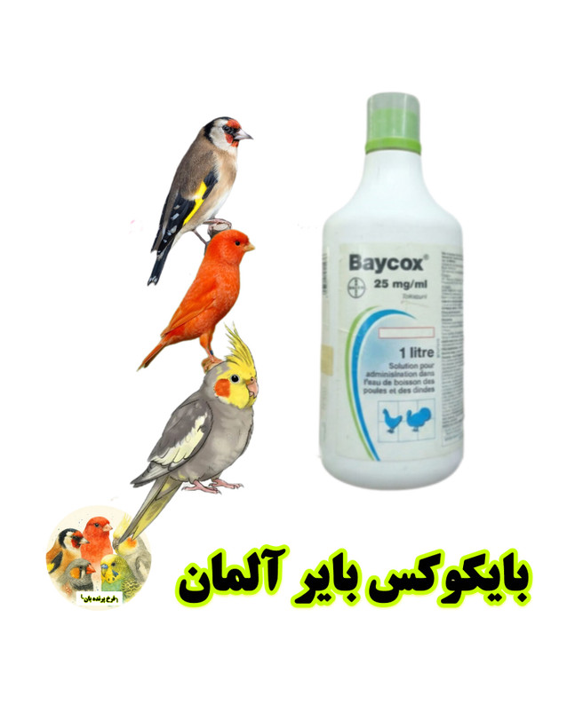 بایکوکس پرنده بان