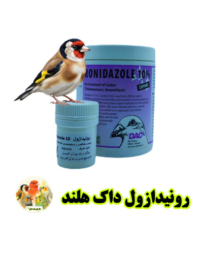 رونیدازول داک هلند پرنده بان