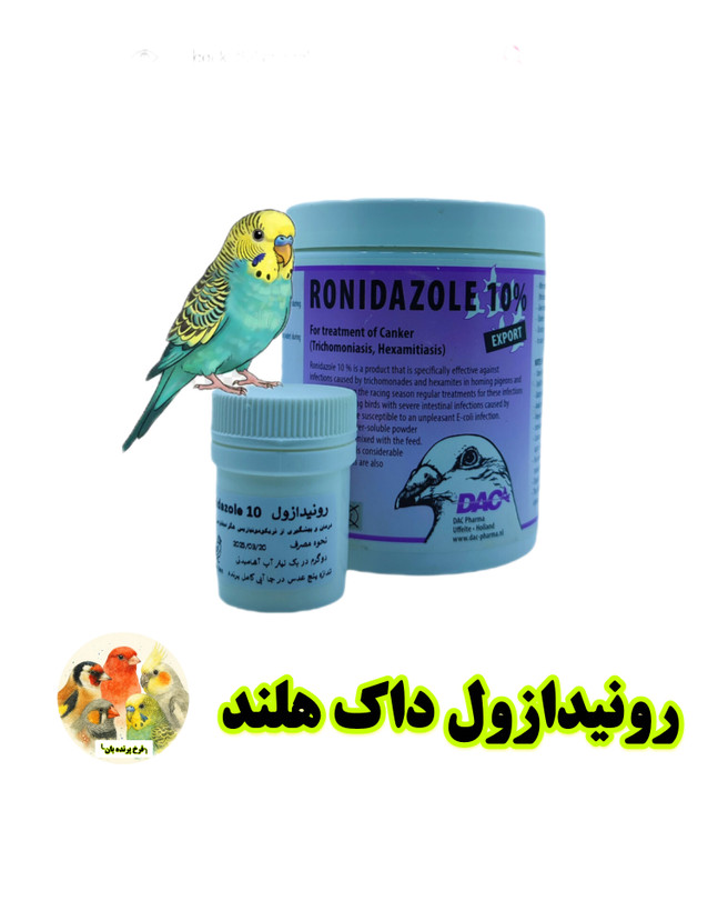 رونیدازول داک هلند پرنده بان