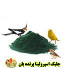 جلبک اسپرولینا پرنده بان گرید +++A
