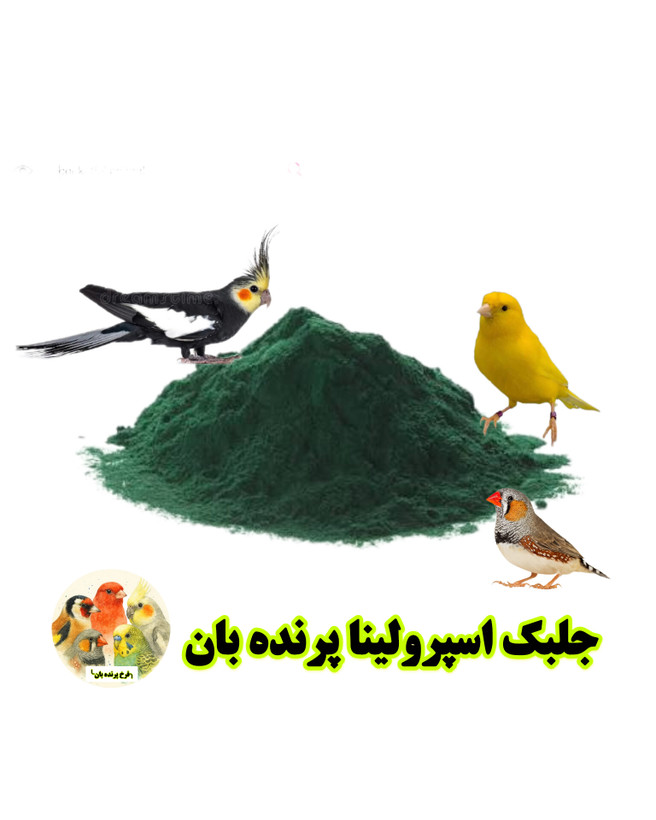 جلبک اسپرولینا پرنده بان گرید +++A