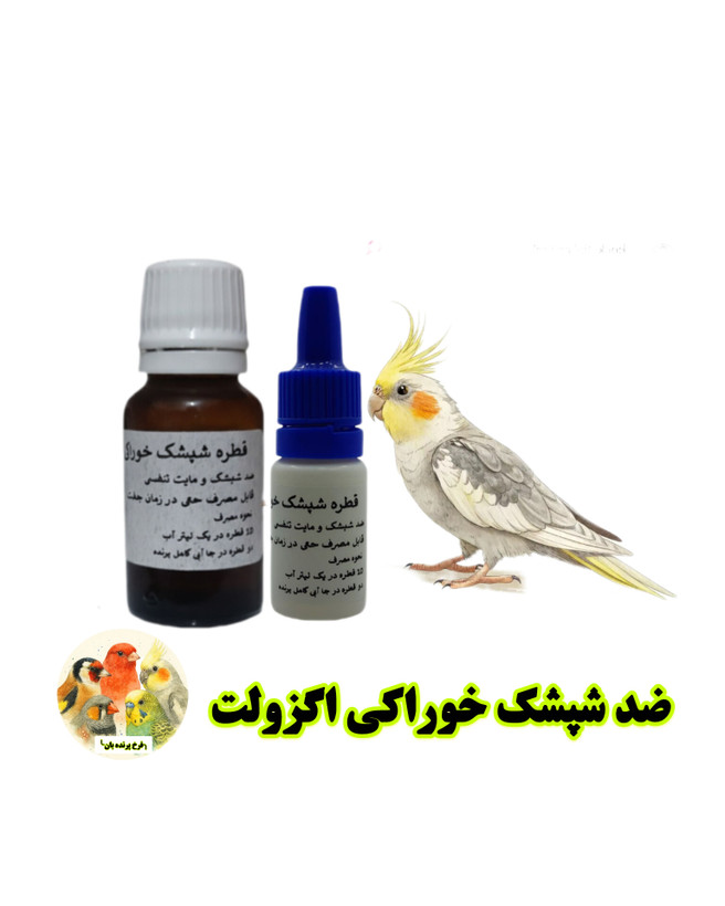 اگزولت پرنده بان