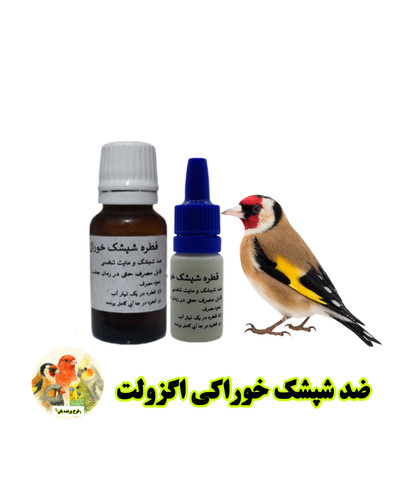 اگزولت پرنده بان