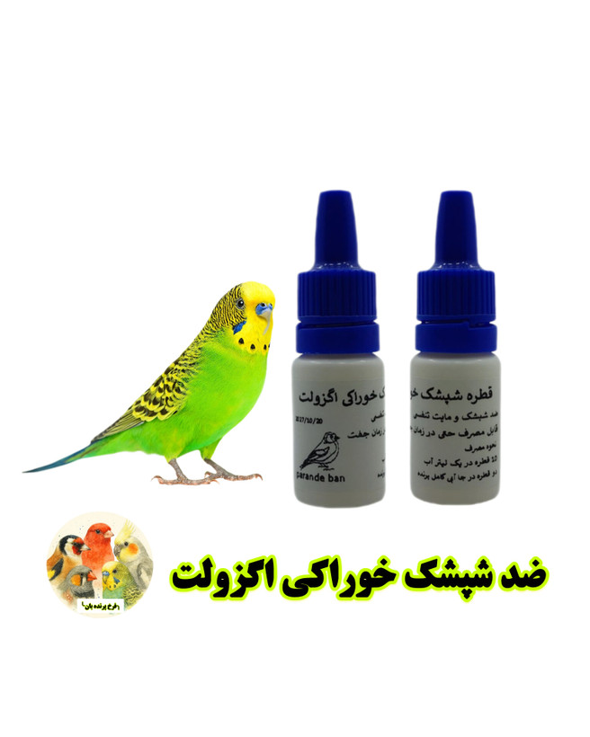 اگزولت پرنده بان