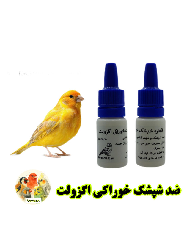 اگزولت پرنده بان
