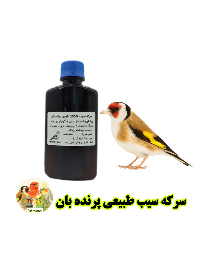 سرکه سیب %100 طبیعی پرنده بان
