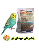 پلت رنگی میوه ای بلو