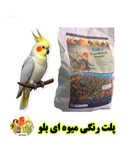پلت رنگی میوه ای بلو
